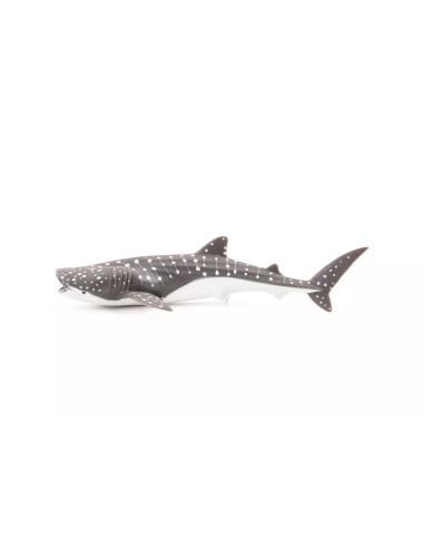Figurine Jeune Requin Baleine Papo - Chondrichtyen Juvénile