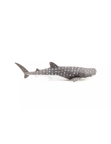 Figurine Jeune Requin Baleine Papo - Chondrichtyen Juvénile