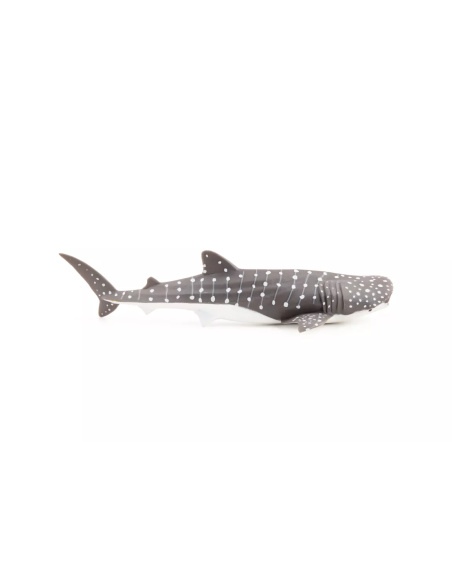 Figurine Jeune Requin Baleine Papo - Chondrichtyen Juvénile