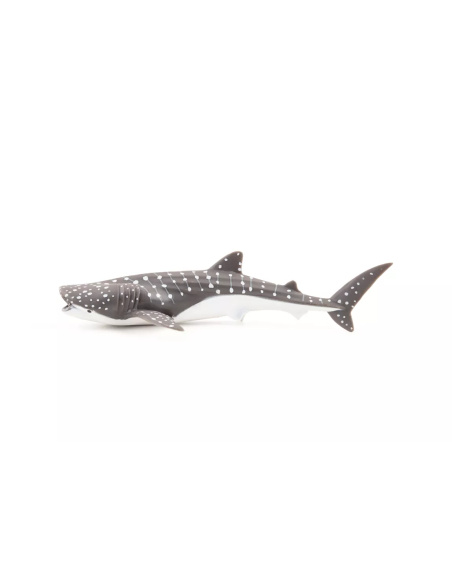 Figurine Jeune Requin Baleine Papo - Chondrichtyen Juvénile
