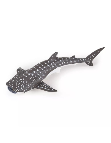 Figurine Jeune Requin Baleine Papo - Chondrichtyen Juvénile