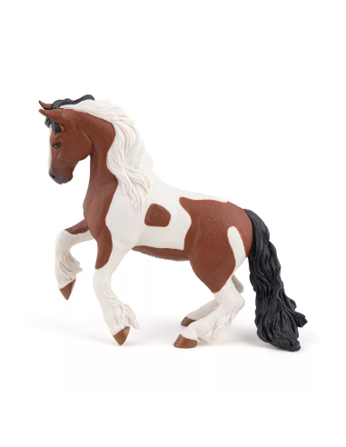 Cob Irlandais Papo - Gypsy Horse Race