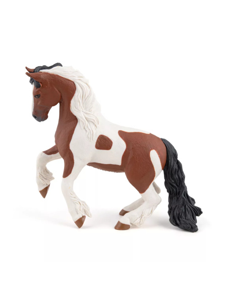 Cob Irlandais Papo - Gypsy Horse Race