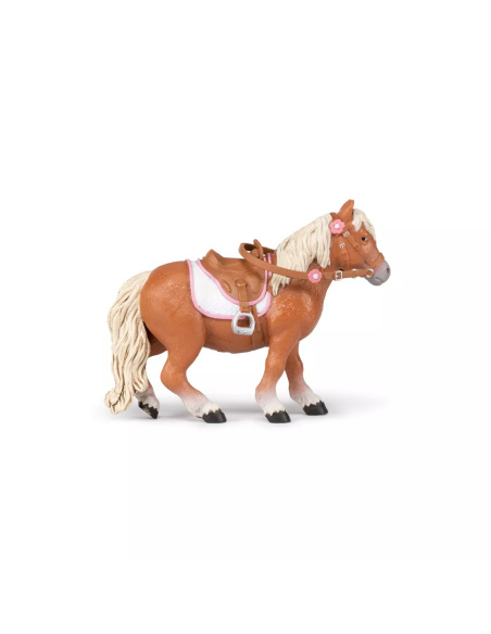 Poney Shetland avec Selle Papo - Équitation Enfant
