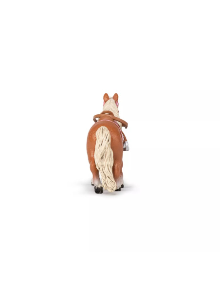 Poney Shetland avec Selle Papo - Équitation Enfant