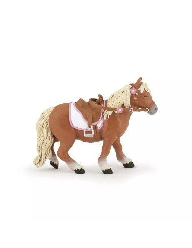 Poney Shetland avec Selle Papo - Équitation Enfant