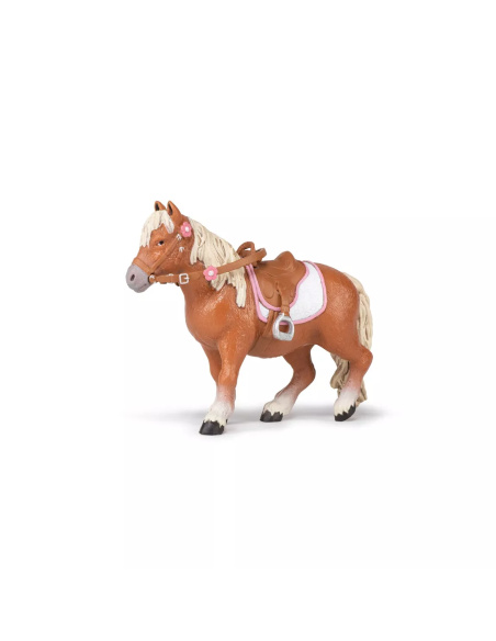 Poney Shetland avec Selle Papo - Équitation Enfant