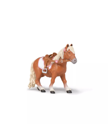 Poney Shetland avec Selle Papo - Équitation Enfant