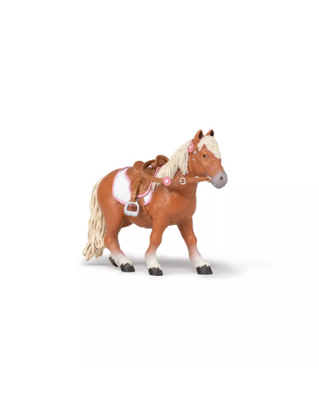 Poney Shetland avec Selle Papo - Équitation Enfant