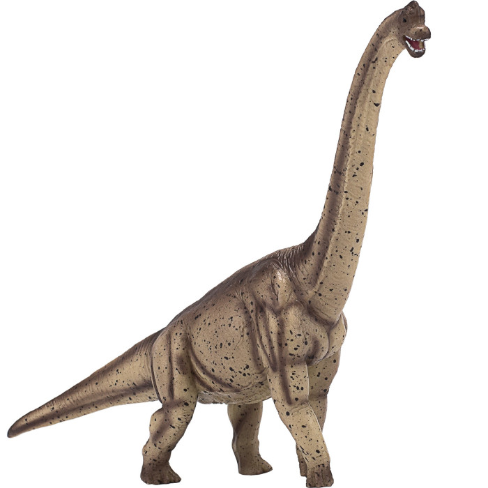 Figurine dinosaure Brachiosaurus - Mojo 387381, Matériel pédagogique