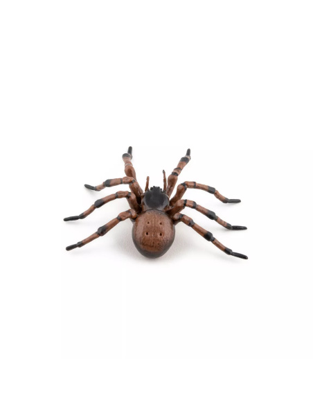 Figurine Araignée Commune Papo - Arachnide Domestique