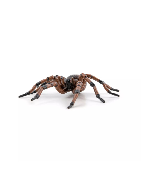 Figurine Araignée Commune Papo - Arachnide Domestique