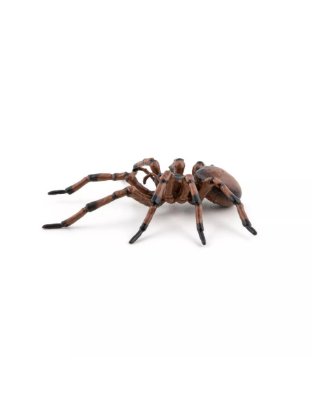 Figurine Araignée Commune Papo - Arachnide Domestique