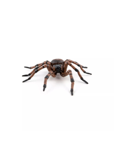 Figurine Araignée Commune Papo - Arachnide Domestique