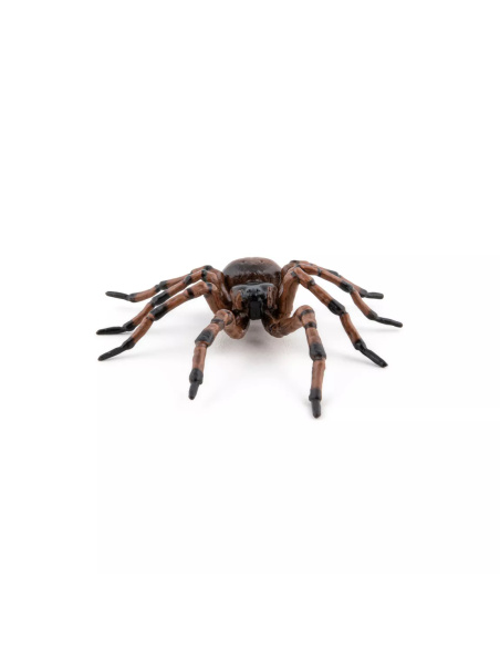 Figurine Araignée Commune Papo - Arachnide Domestique
