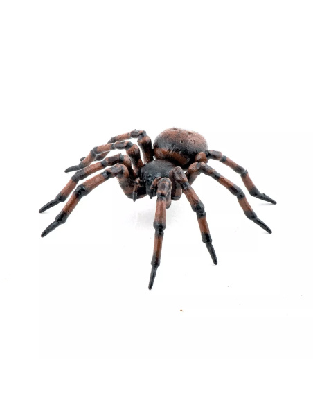 Figurine Araignée Commune Papo - Arachnide Domestique