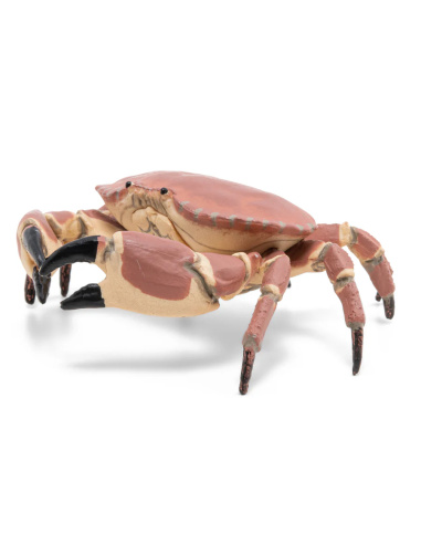 Crabe Figurine Papo 56047 | Crustacé Marin Littoral