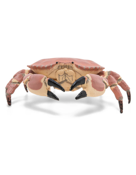 Crabe Figurine Papo 56047 | Crustacé Marin Littoral