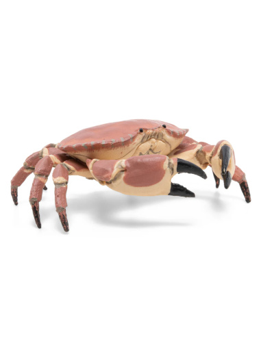 Crabe Figurine Papo 56047 | Crustacé Marin Littoral