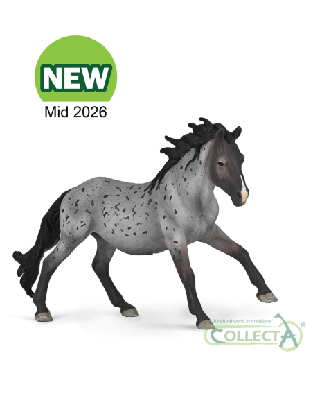 Figurine Étalon Nokota Rouan Bleu | CollectA 1:20 - LesMinis