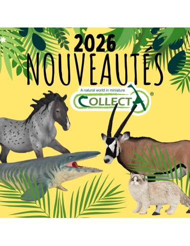 Figurine Étalon Nokota Rouan Bleu | CollectA 1:20 - LesMinis