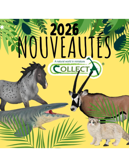 Cheval Appaloosa Collecta 2026 - Figurine équestre