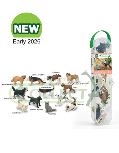 Tube 12 Figurines Mini Chiens et Chats | CollectA A1232
