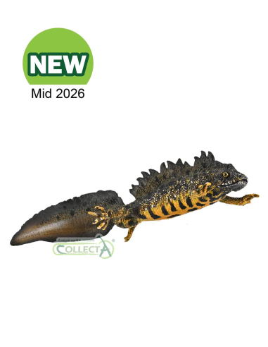 Figurine Triton Crêté Mâle | CollectA Little Wonders 80064