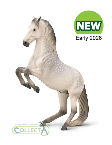 Figurine Étalon Lipizzan Gris Pommelé en Levade | CollectA 1:20