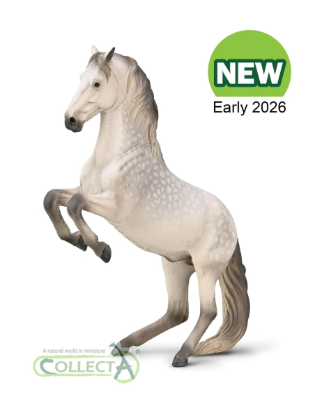 Figurine Étalon Lipizzan Gris Pommelé en Levade | CollectA 1:20
