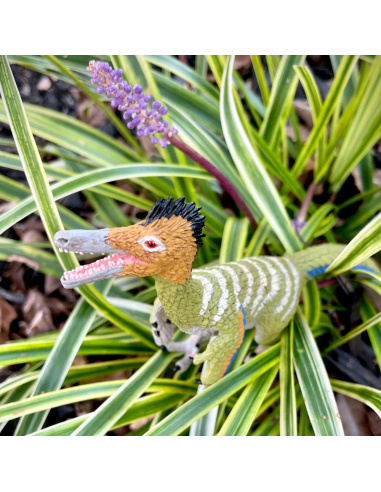 Figurine Dinosaure Austroraptor – Dinosaures Théropodes | Safari Ltd®