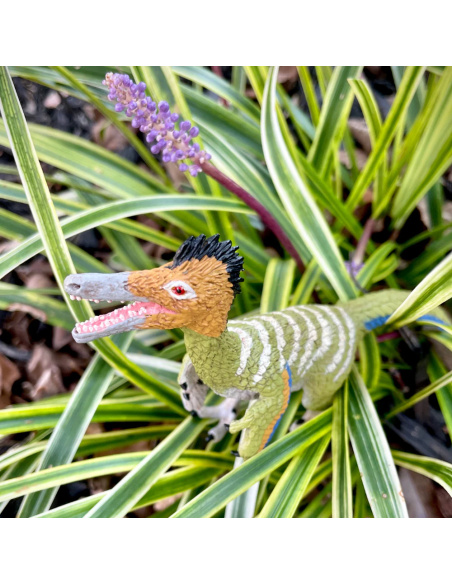 Figurine Dinosaure Austroraptor – Dinosaures Théropodes | Safari Ltd®