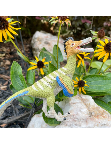Figurine Dinosaure Austroraptor – Dinosaures Théropodes | Safari Ltd®