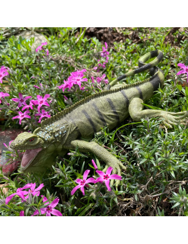 Figurine Iguane - Safari Ltd® 267729 | Jouet réaliste | Matériel pédagogiqueAnimaux Montessori