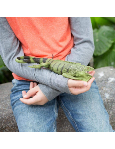 Figurine Iguane - Safari Ltd® 267729 | Jouet réaliste | Matériel pédagogiqueAnimaux Montessori