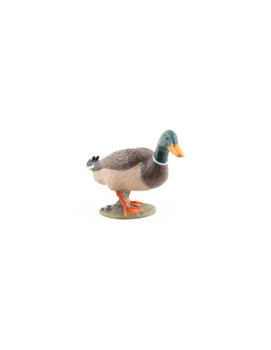 Canard colvert – Figurine Papo 51155