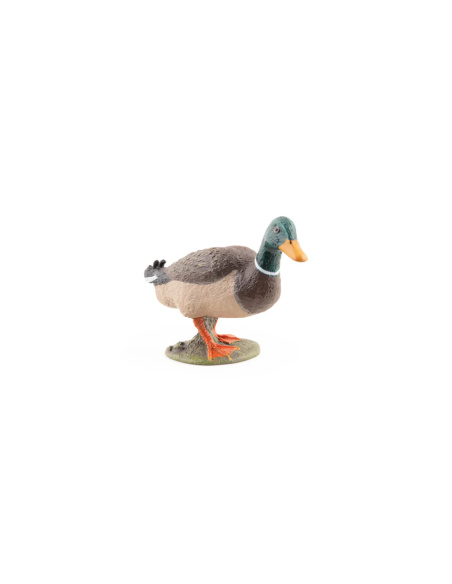 Canard colvert – Figurine Papo 51155