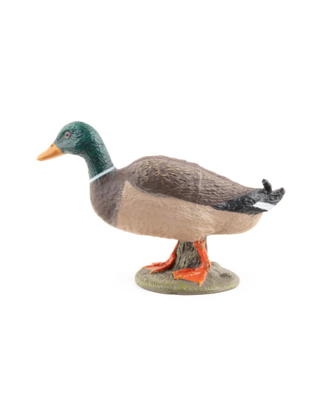 Canard colvert – Figurine Papo 51155