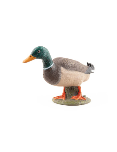 Canard colvert – Figurine Papo 51155