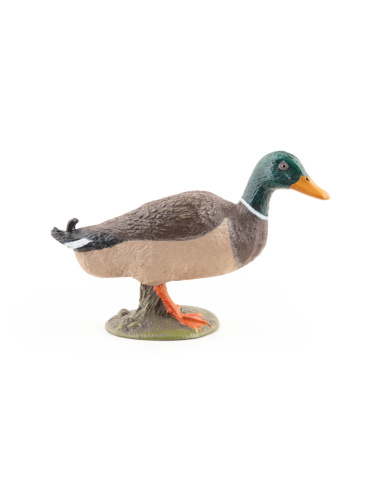 Canard colvert – Figurine Papo 51155