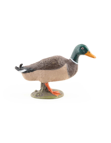 Canard colvert – Figurine Papo 51155