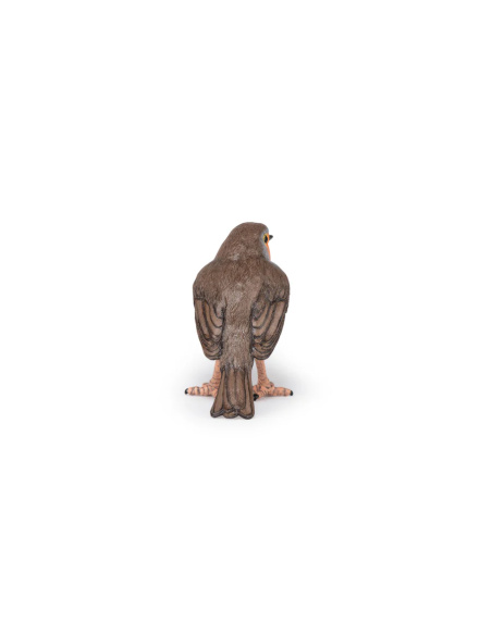 Rouge-gorge – Figurine Papo 50275