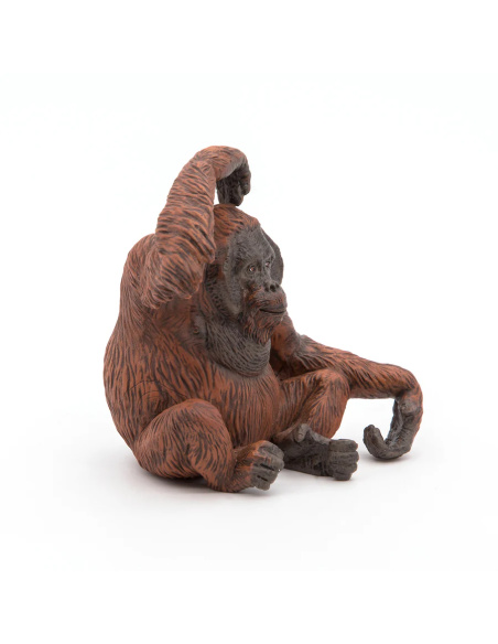 Orang-outan – Figurine Papo 50120