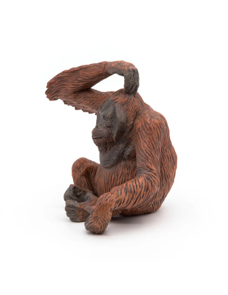 Orang-outan – Figurine Papo 50120