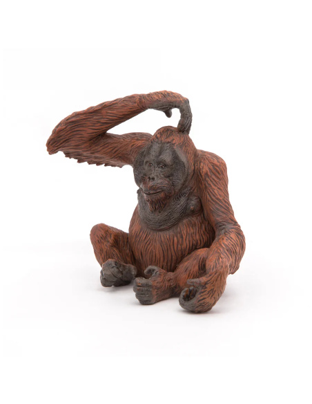 Orang-outan – Figurine Papo 50120