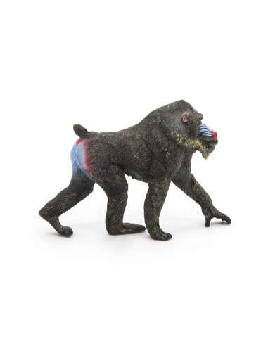 Mandrill – Figurine Papo 50121