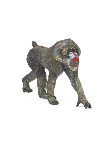 Mandrill – Figurine Papo 50121