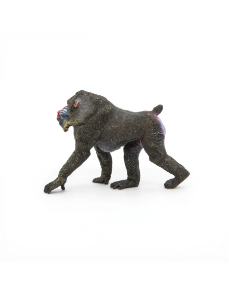 Mandrill – Figurine Papo 50121