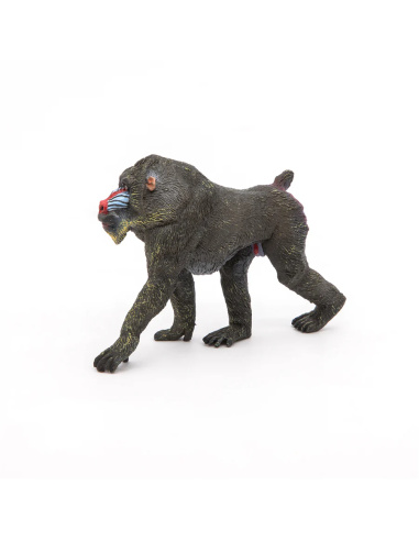 Mandrill – Figurine Papo 50121