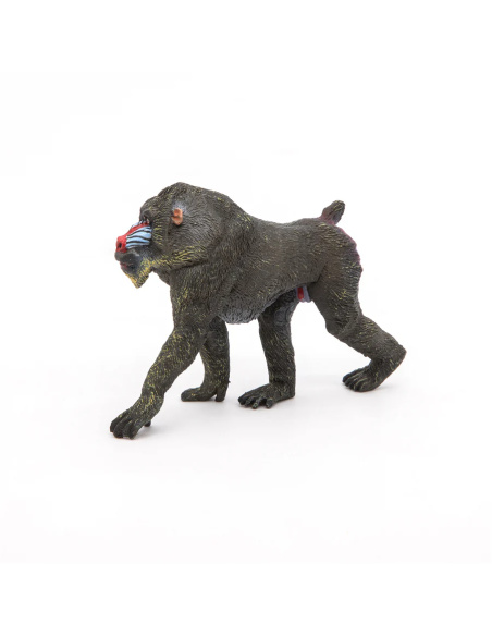 Mandrill – Figurine Papo 50121